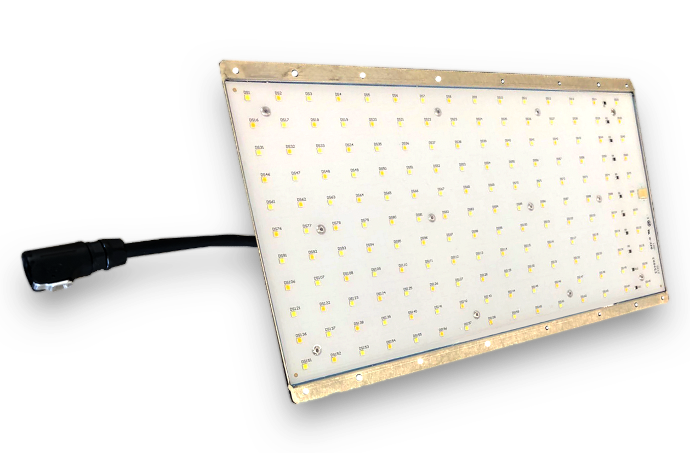 [iQXM50W] iQX M-SERIES Driverless LED Luminaire - 50w